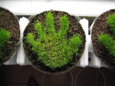 grass-handprint_1.jpg