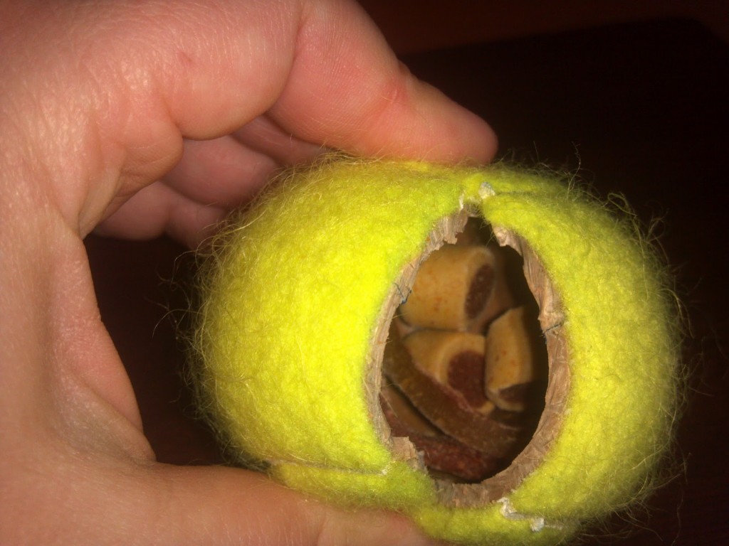 tennis-ball-treat-dispenser-1024x768_1.jpg