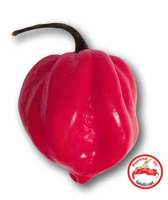 habanero_red.jpg