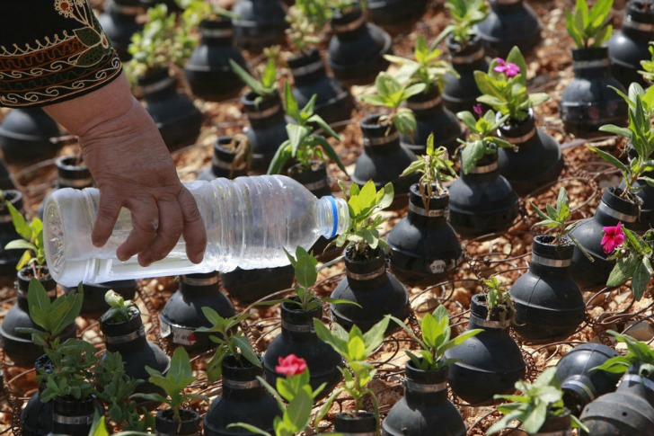 west-bank-garden-of-tear-gas-grenades-majdi-mohammed-shteih-3.jpg