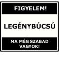 A Legényélet temetése avagy a vég kezdete