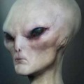 Az ufoanuták anatómiája