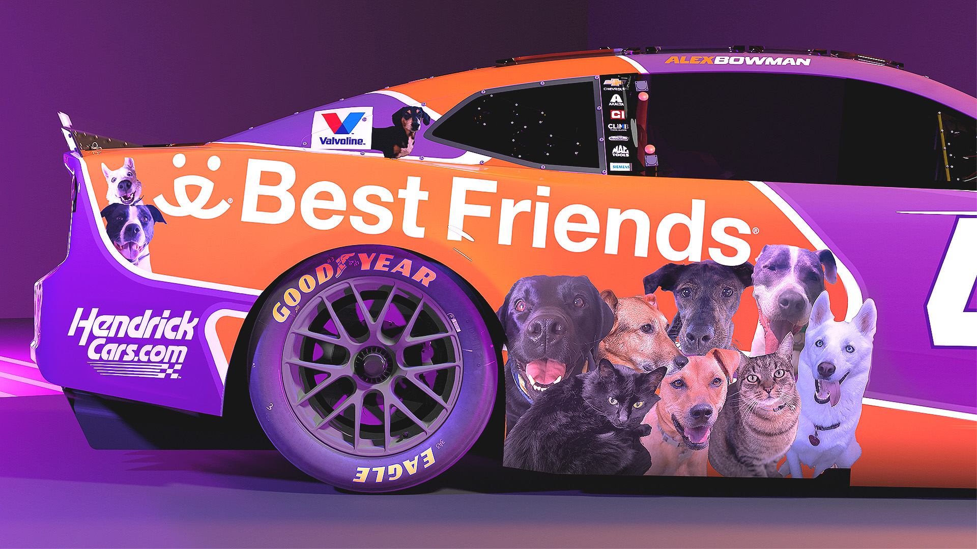 NASCAR: Hihetetlen cuki autóval kampányol az állatvédelem mellett Alex Bowman Phoenixen NASCAR: Hihetetlen cuki autóval kampányol az állatvédelem mellett Alex Bowman Phoenixen