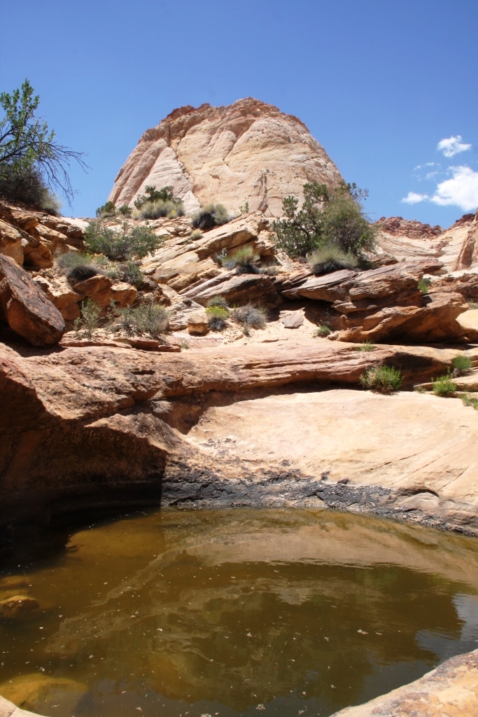 Capitol reef water pocket.jpg