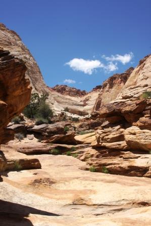 Capitol reef.jpg