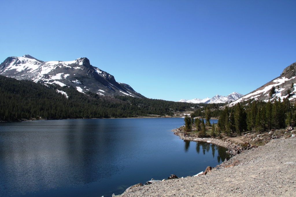 Tioga lake.jpg