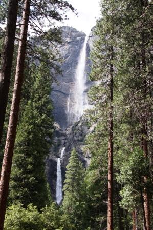 Yosemite Falls 1.jpg