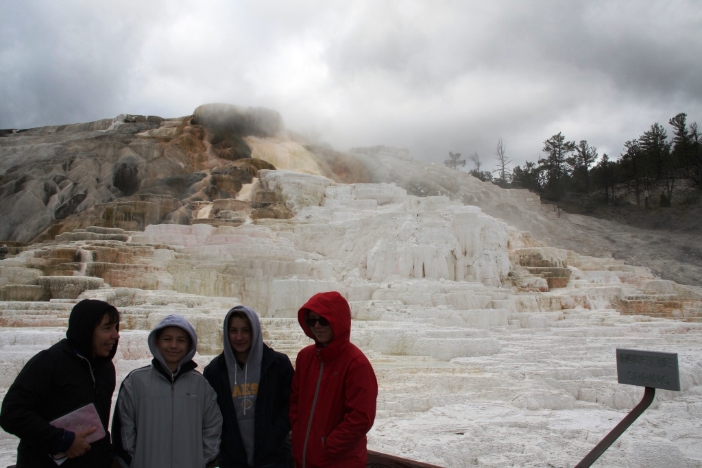 Ystone - mammoth hot springs_1.jpg