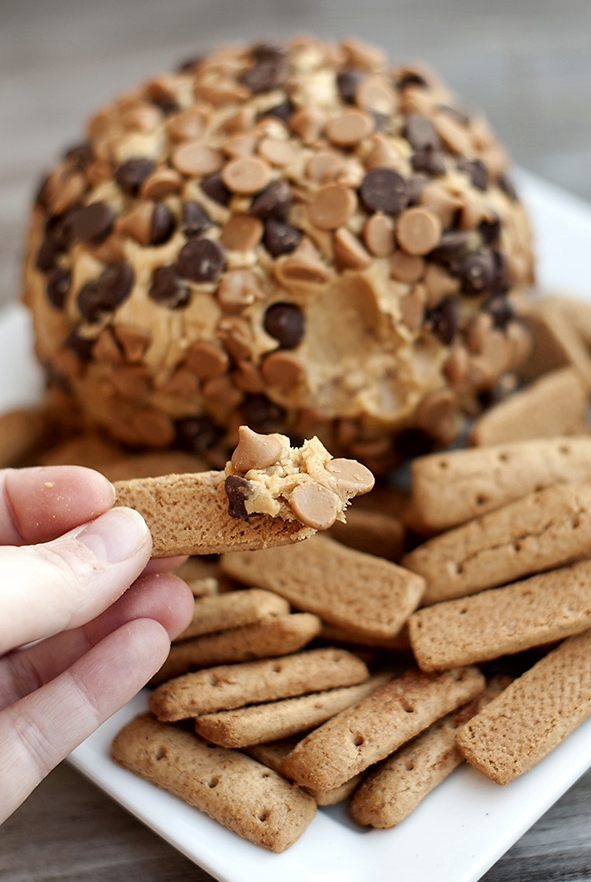 peanut-butter-cheese-ball-recipe.jpg