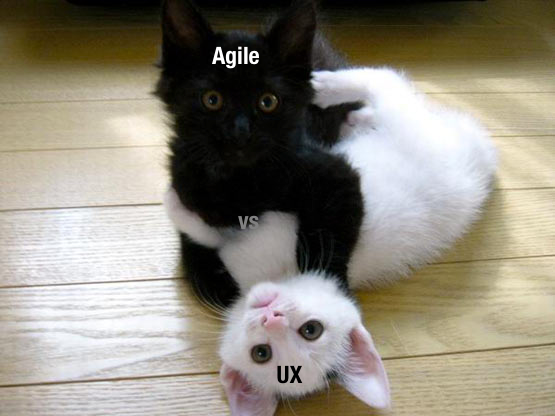 agilevsuxcats.png