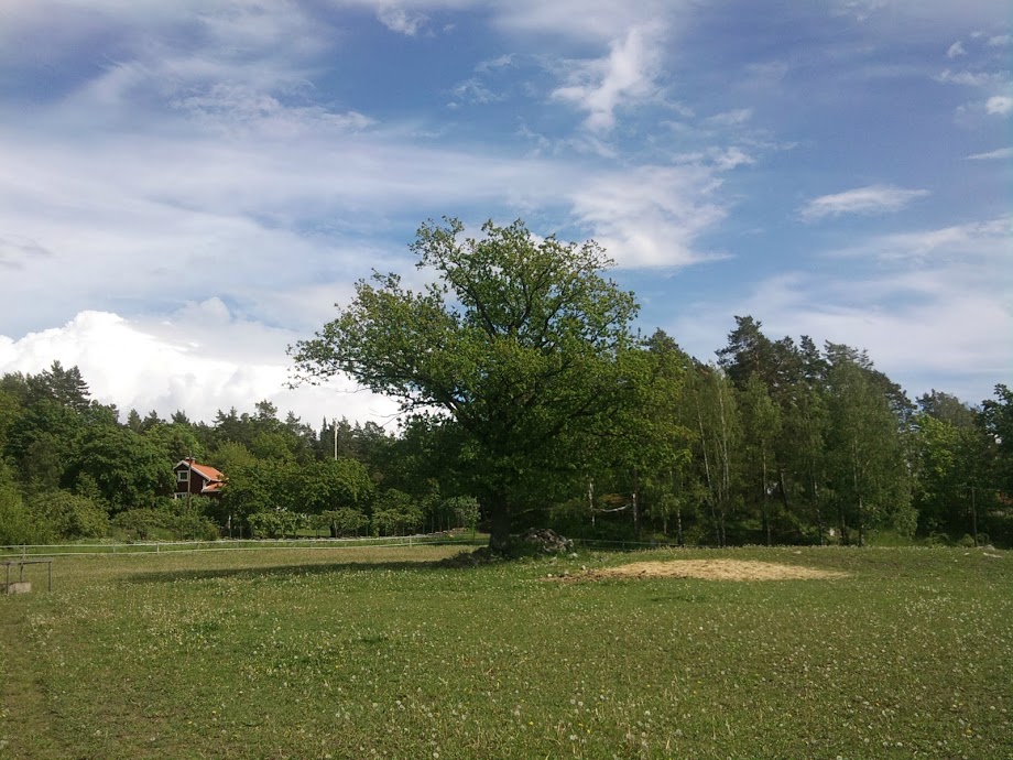 f_ringso_viking_land_2012_summer_36.JPG