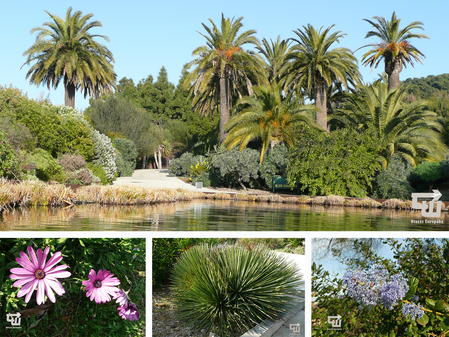 01_barcelona_jardi_botanic_katalonia_catalu_a_spanyolorszag_spain_espa_a_spanien.jpg