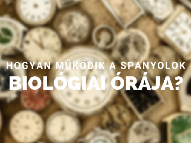 Hétköznapi spanyol napirend