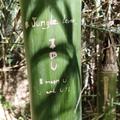 Dzsungeltúra Észak-Thaiföldön egy hajdani szerzetes vezetésével