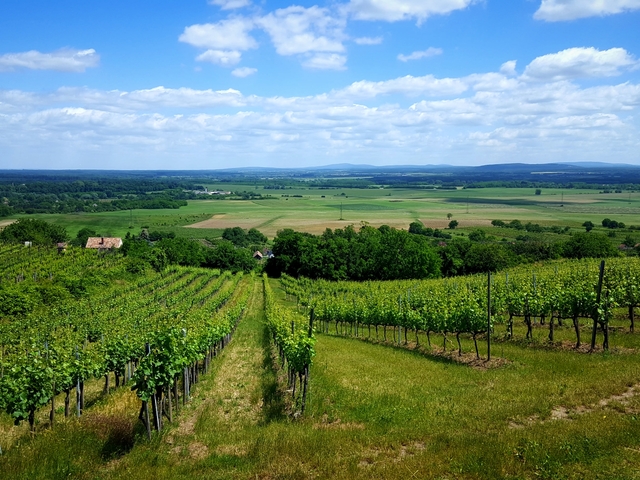 Elfeledett hegyek, magányos túraútvonalak a Balaton-felvidéken