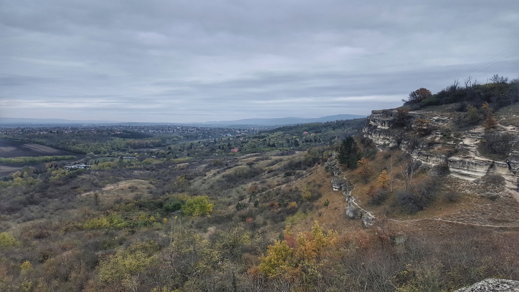 agro alfa győr