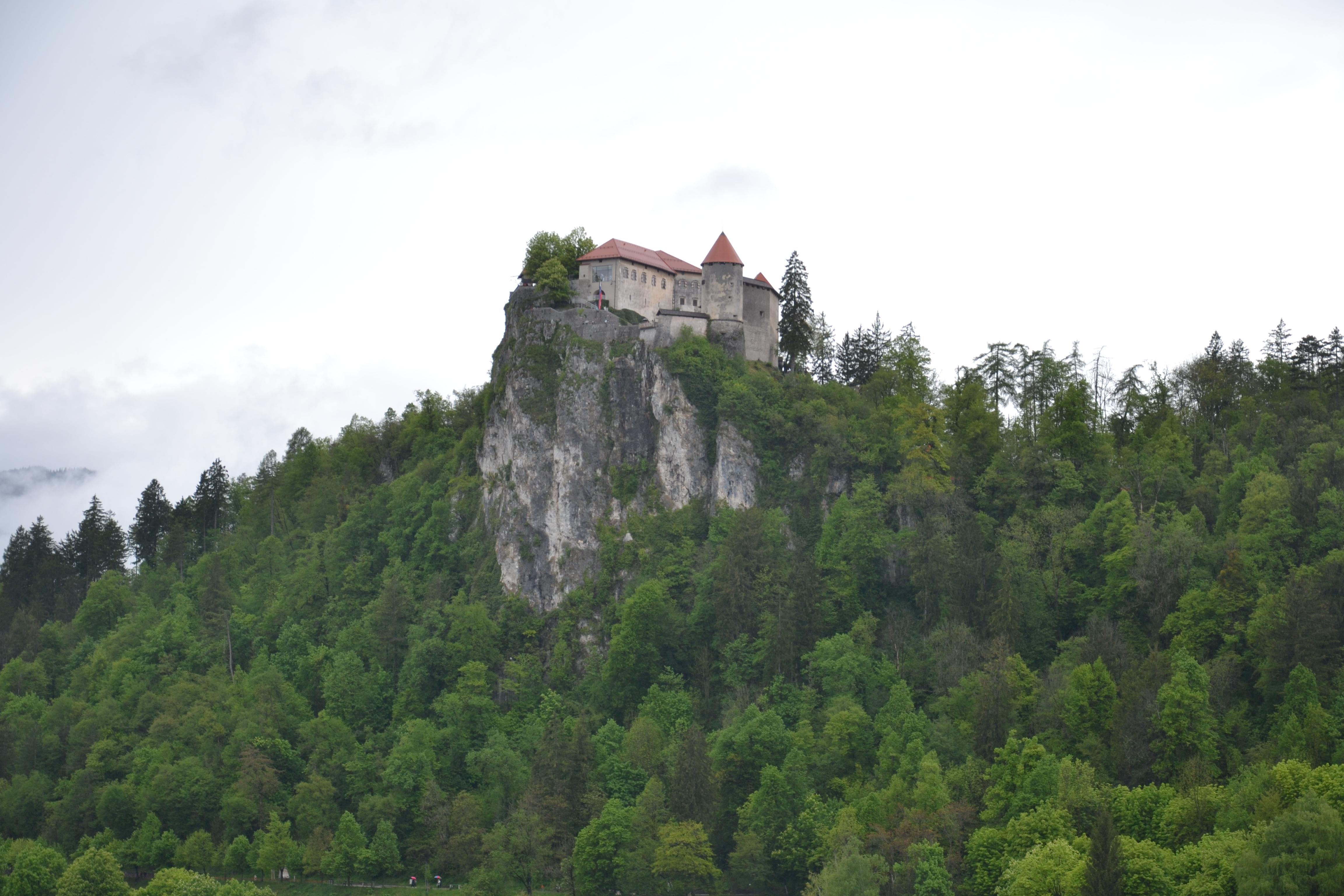 Bled vára