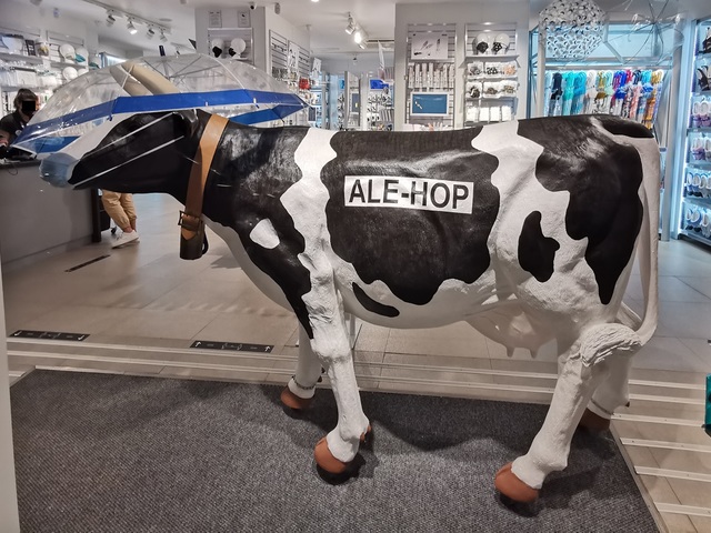 Karácsonyi várakozás La Orotavában