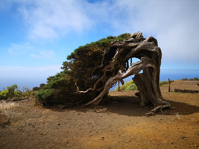 elhierro_ajanlo.jpg