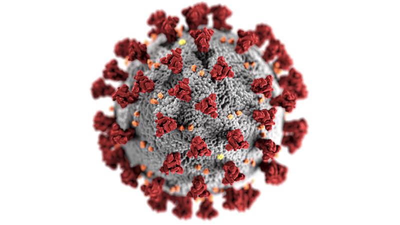 covid-19-coronavirus-covid-cell-pandemic-corona-virus-1608792-pxhere_com.jpg