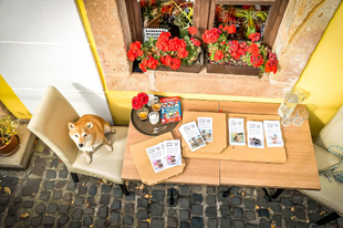 Egy szentendrei pizzéria menhelyi kutyusok fotóit teszi a pizzásdobozokra, hogy segítsen nekik gazdit találni