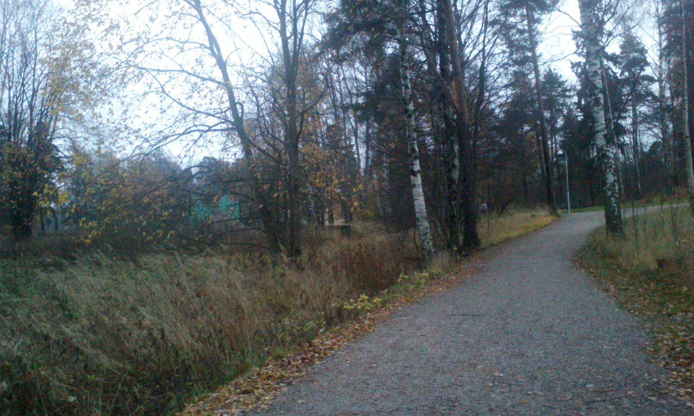 C360_2013-11-02-16-04-04-781.jpg