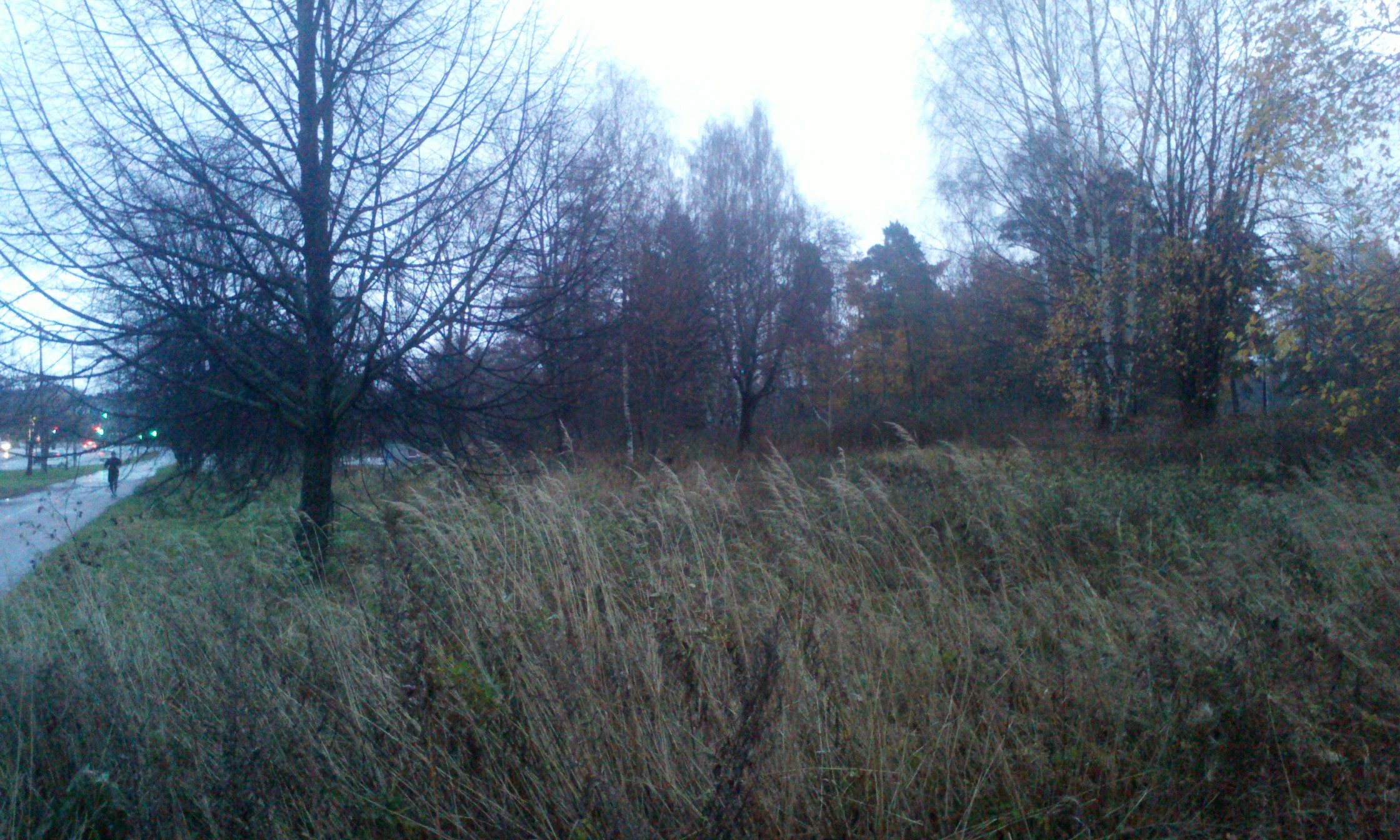 C360_2013-11-02-16-04-11-583.jpg