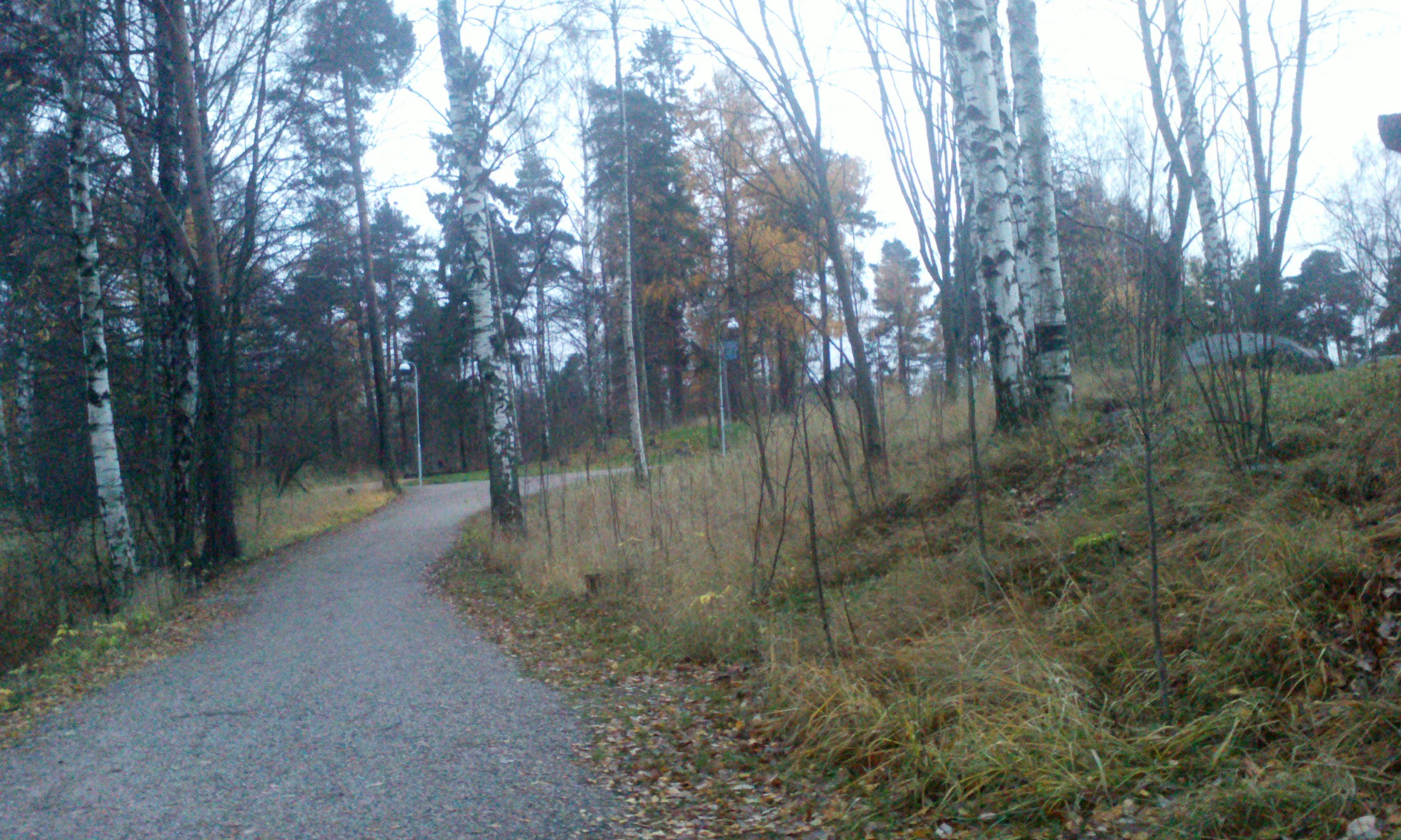 C360_2013-11-02-16-04-18-666.jpg