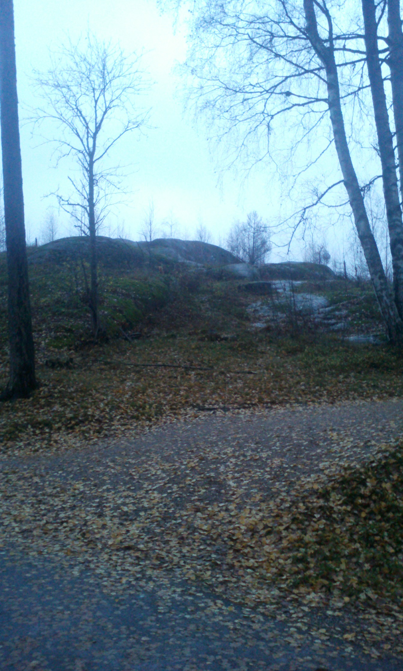 C360_2013-11-02-16-06-29-898.jpg