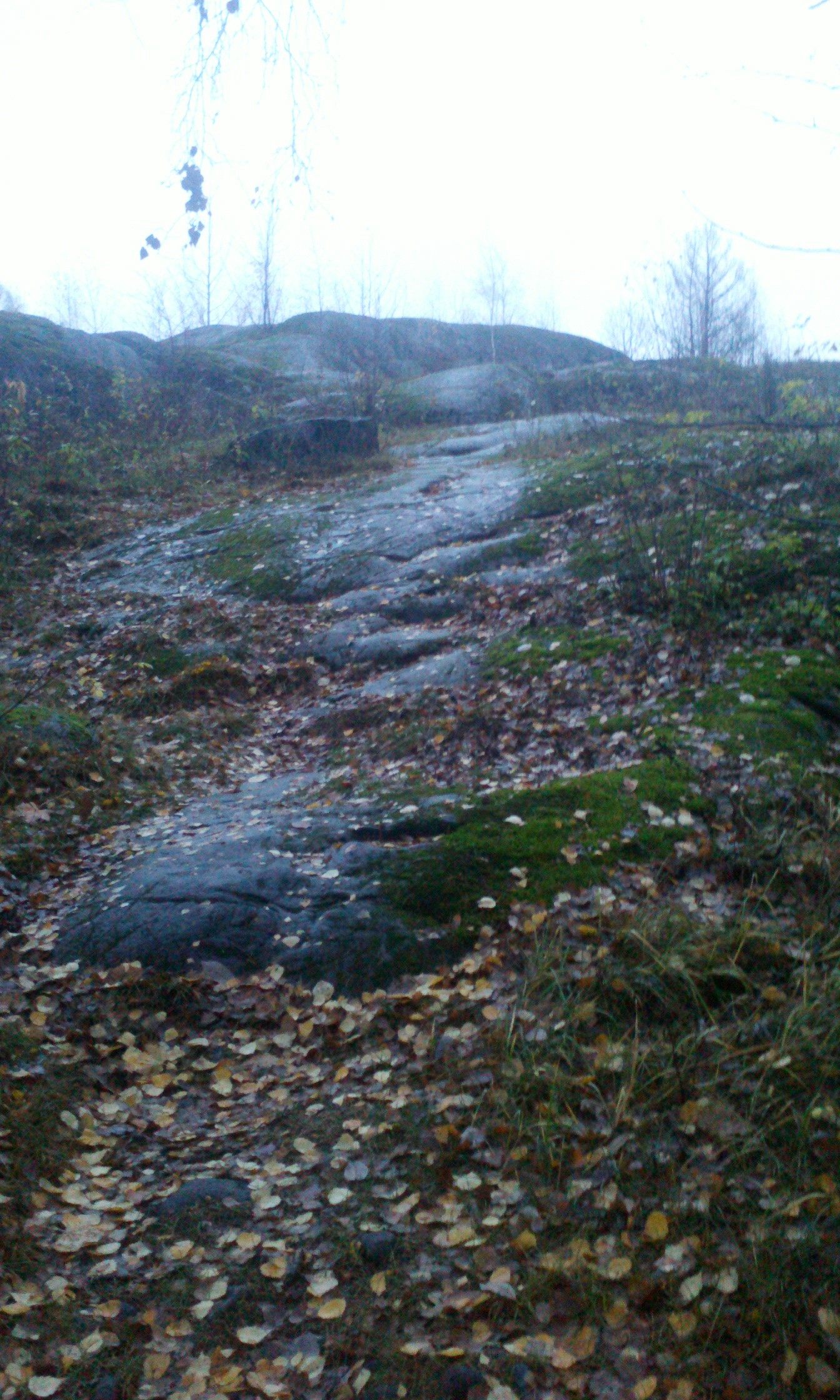 C360_2013-11-02-16-07-33-346.jpg
