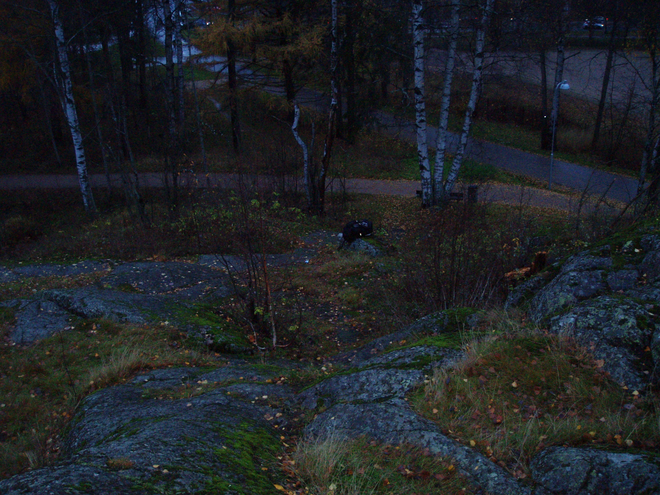 PB020002.JPG