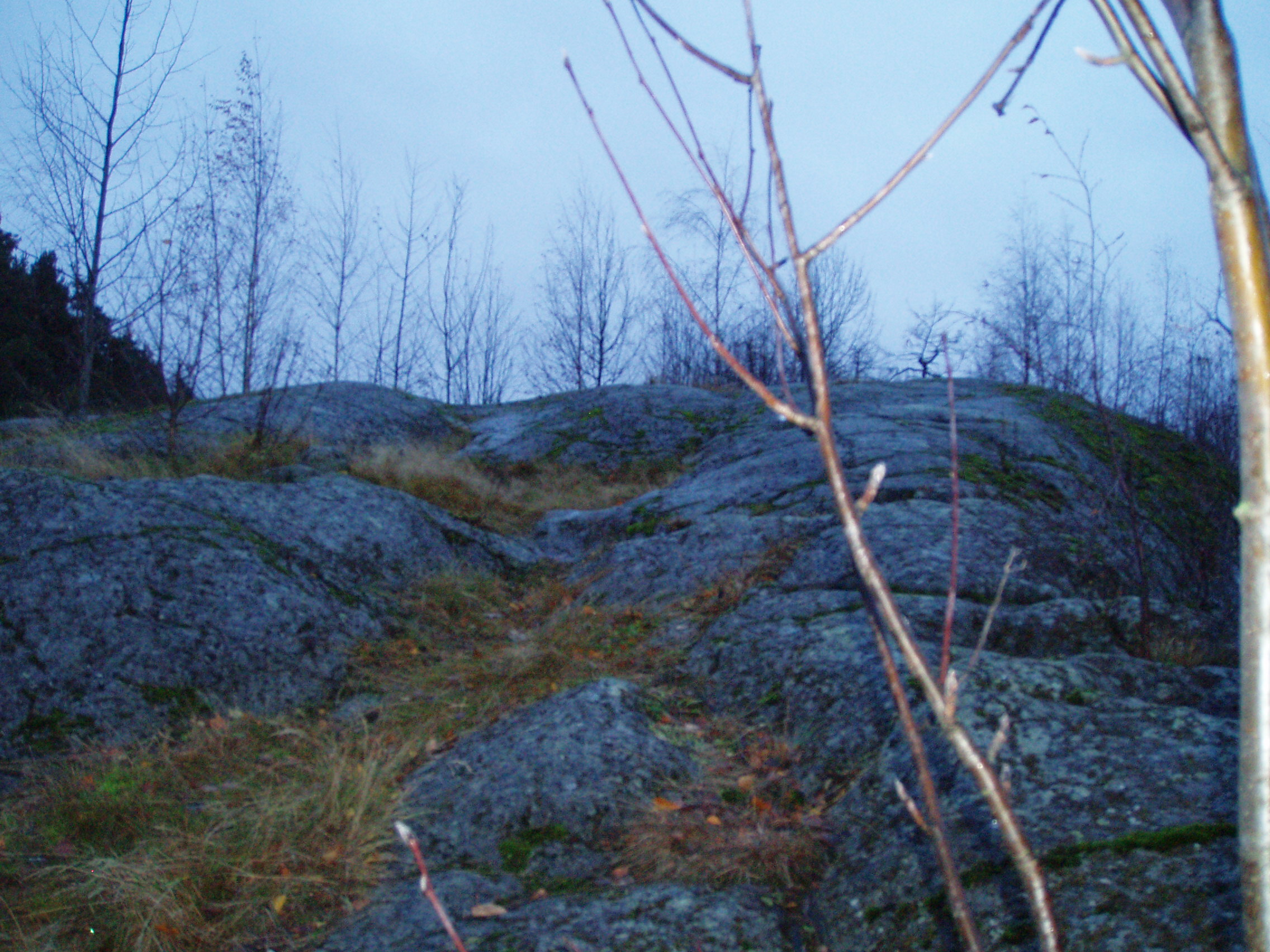PB020006.JPG