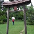 Nyári zápor a japánkertben