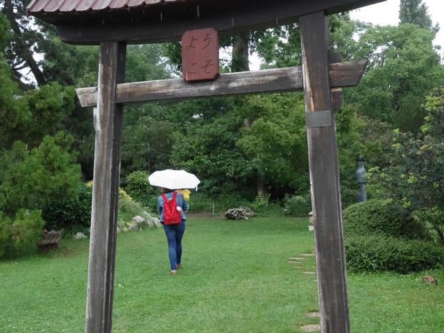 Nyári zápor a japánkertben