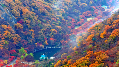 A színek tobzódása a Naejangsan Nemzeti Parkban