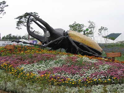 Big beetle.jpg