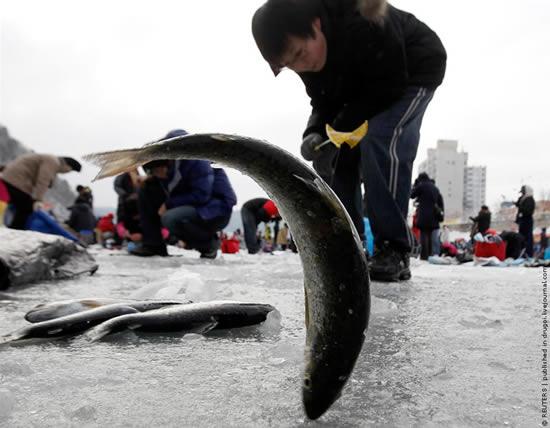 Hwacheon-ice-fishing3.jpg