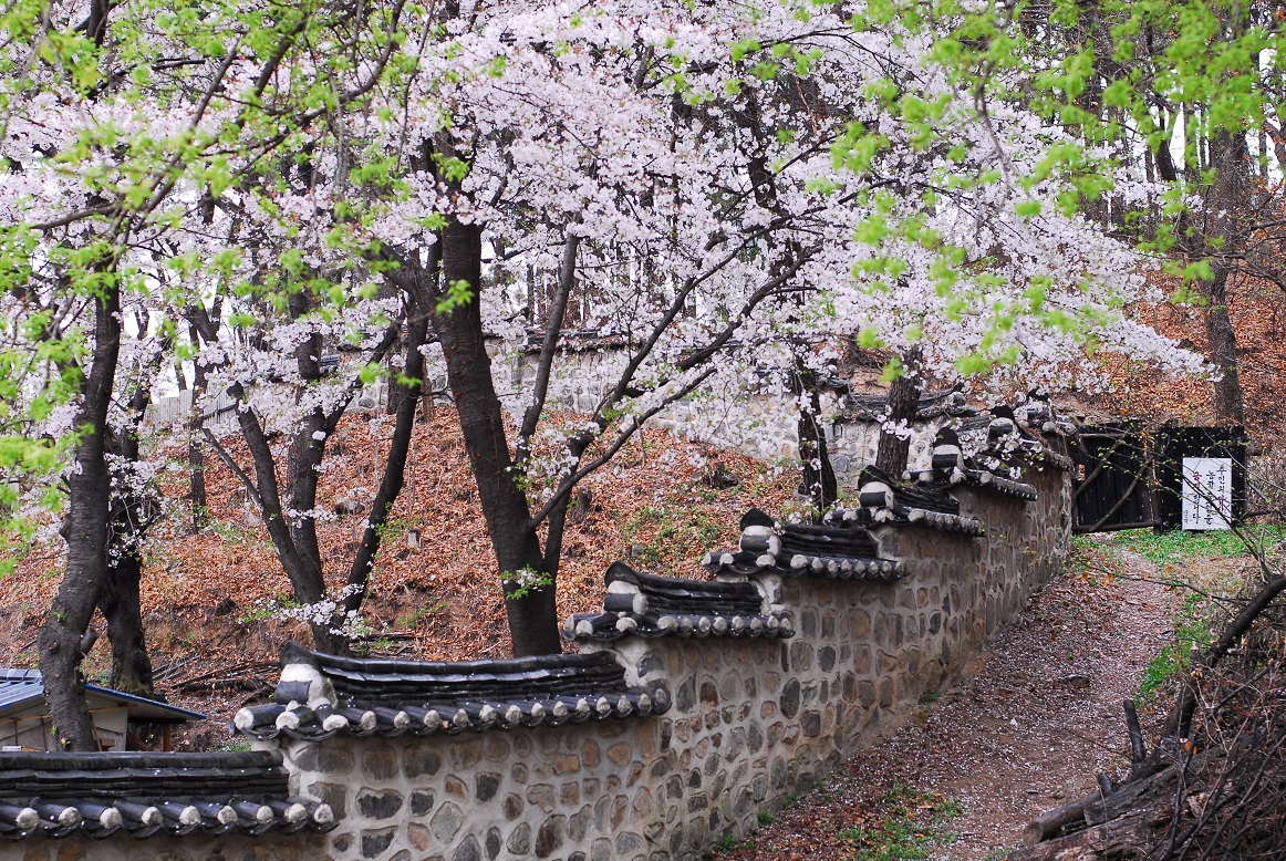 Korea-Daejeon-Uam_Historic_Park-02.jpg