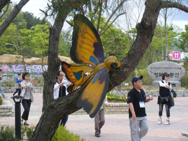 butterfly-festival.jpg