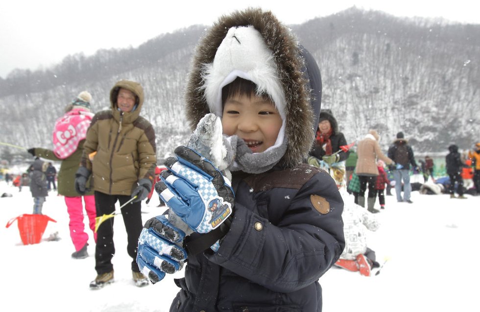 frozen-fish-korea.jpeg