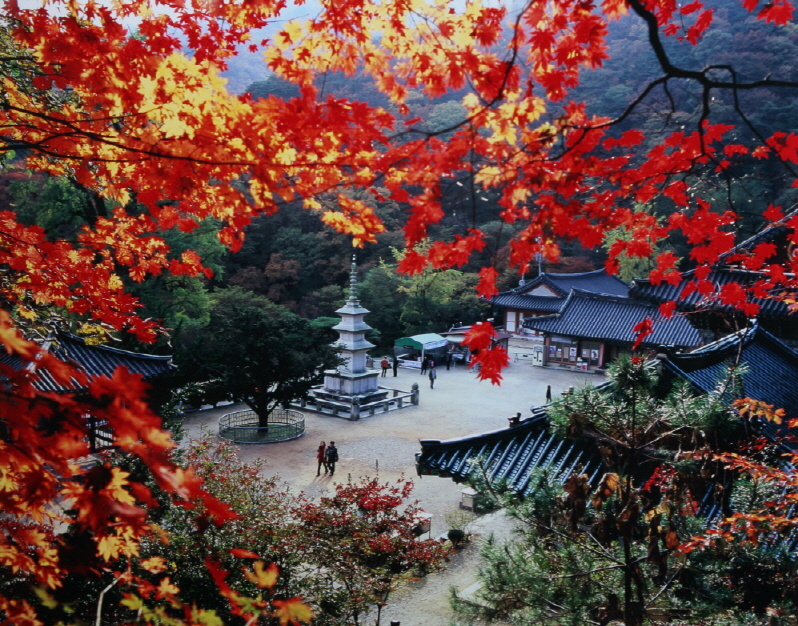 yongmunsa templom ősszel.jpg