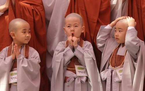 little-monks-1.jpg