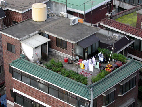 rooftop-2.jpg
