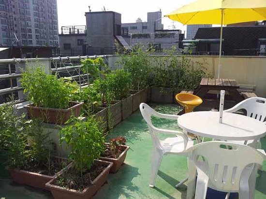 rooftop-garden.jpg