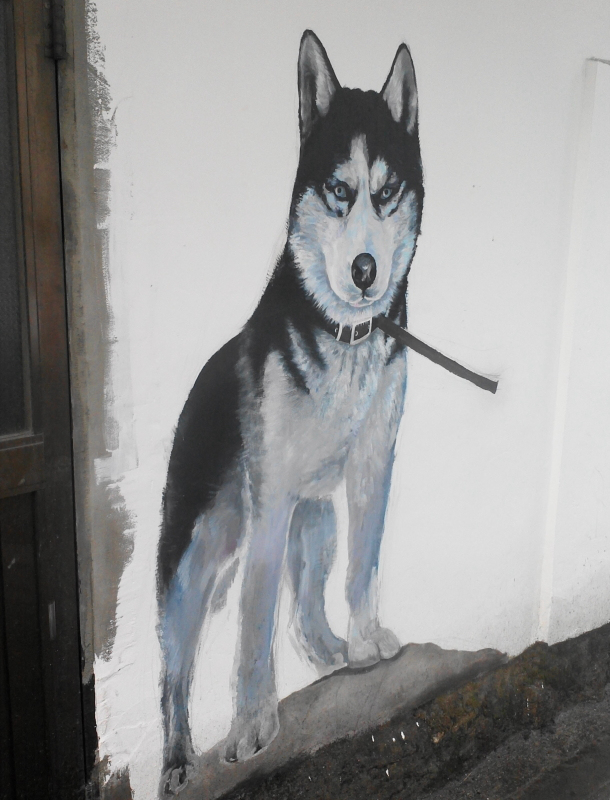 wolf-husky-mural-painting-in-guro-seoul.jpg