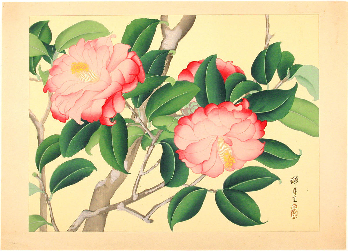 zuigetsu_ikeda-flowers_and_plants_by_zuigetsu-tsubaki_camellia-00040592-070516-f12.jpg