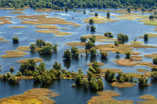 Az európai "Amazonas", a hely, ami rabul ejt