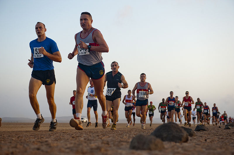 800px-US_Navy_111208-F-UI176-273_A_row_of_rocks_define_the_course_at_the_29th_annual_Grand_Bara_15K_race_in_the_Grand_Bara_Desert,_Djibouti.jpg