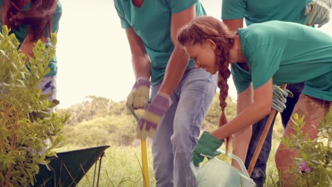 communitygarden2.jpg