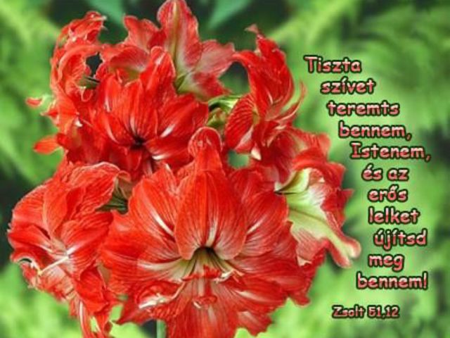 Kétfajta zsidó randevú